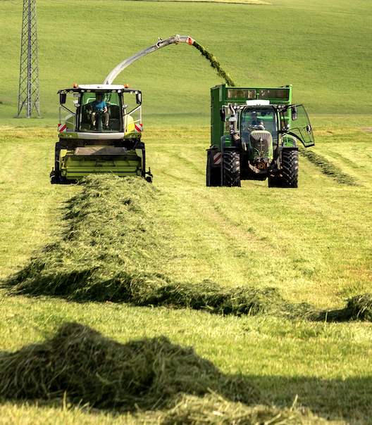 Terra Oracle AI transforming agriculture with AI and data