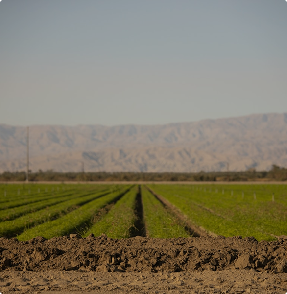 Economics data visualization