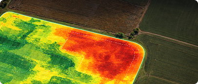 Field heat map showing disease pressure zones