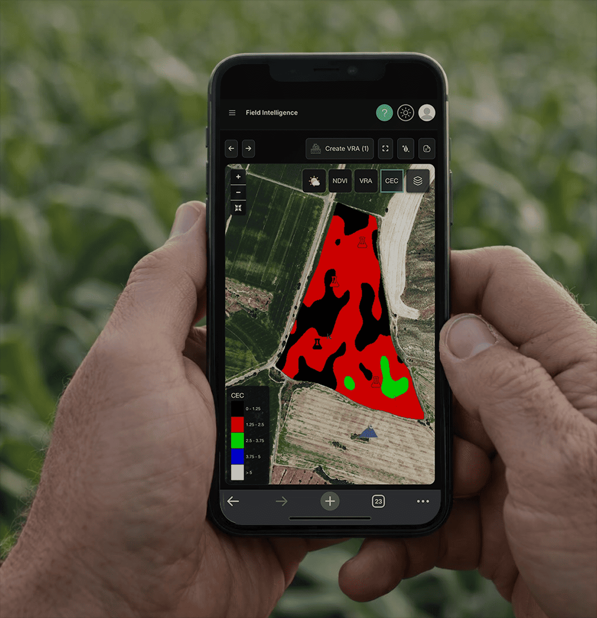 AI Advisor insights visualization