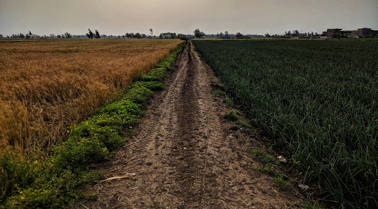 Recommendations background