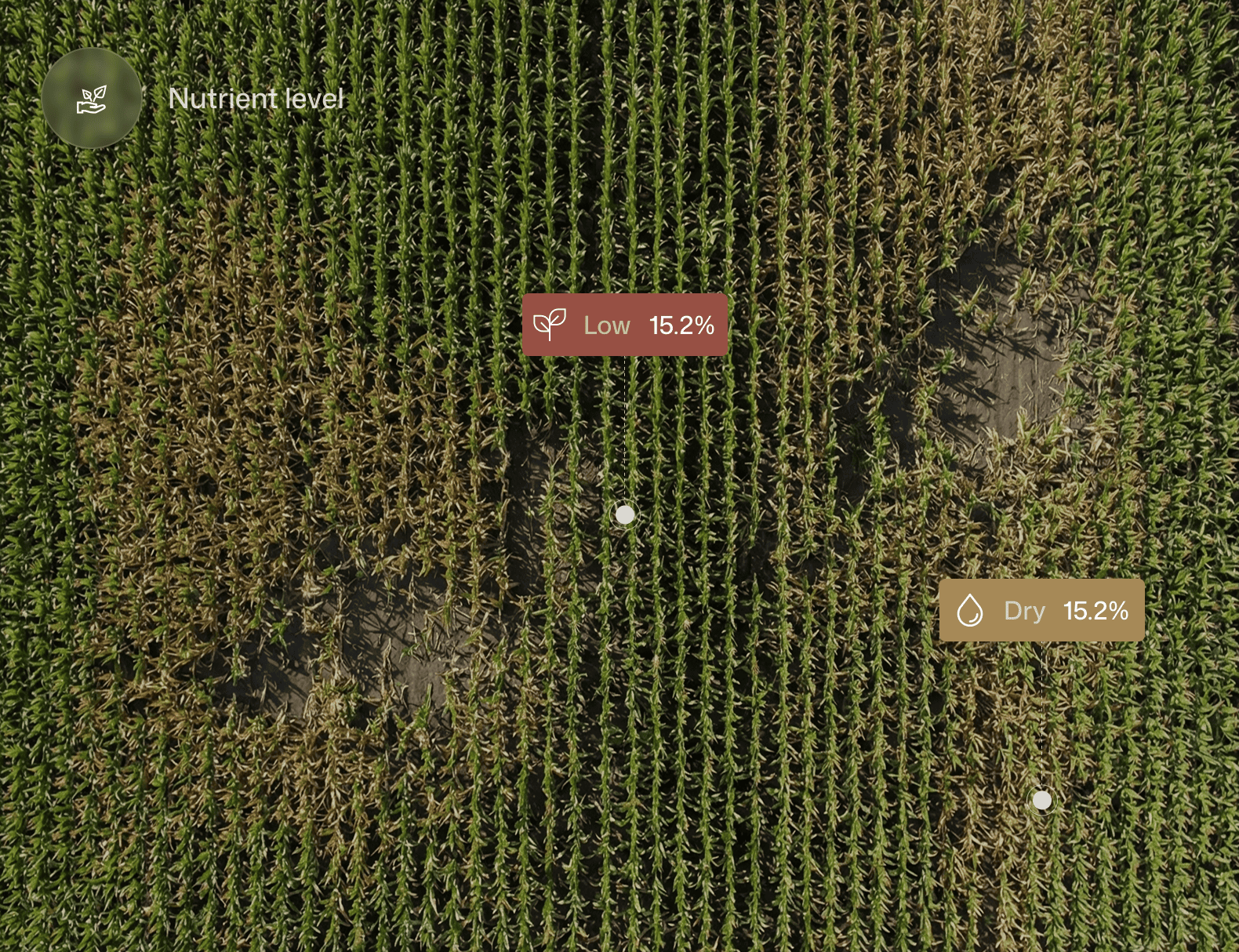 Detect problem zones