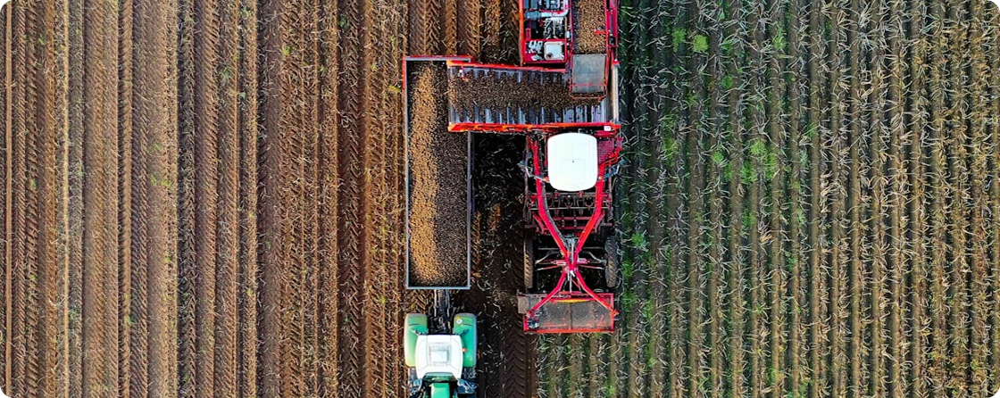 Large corporate farms with combine harvesters